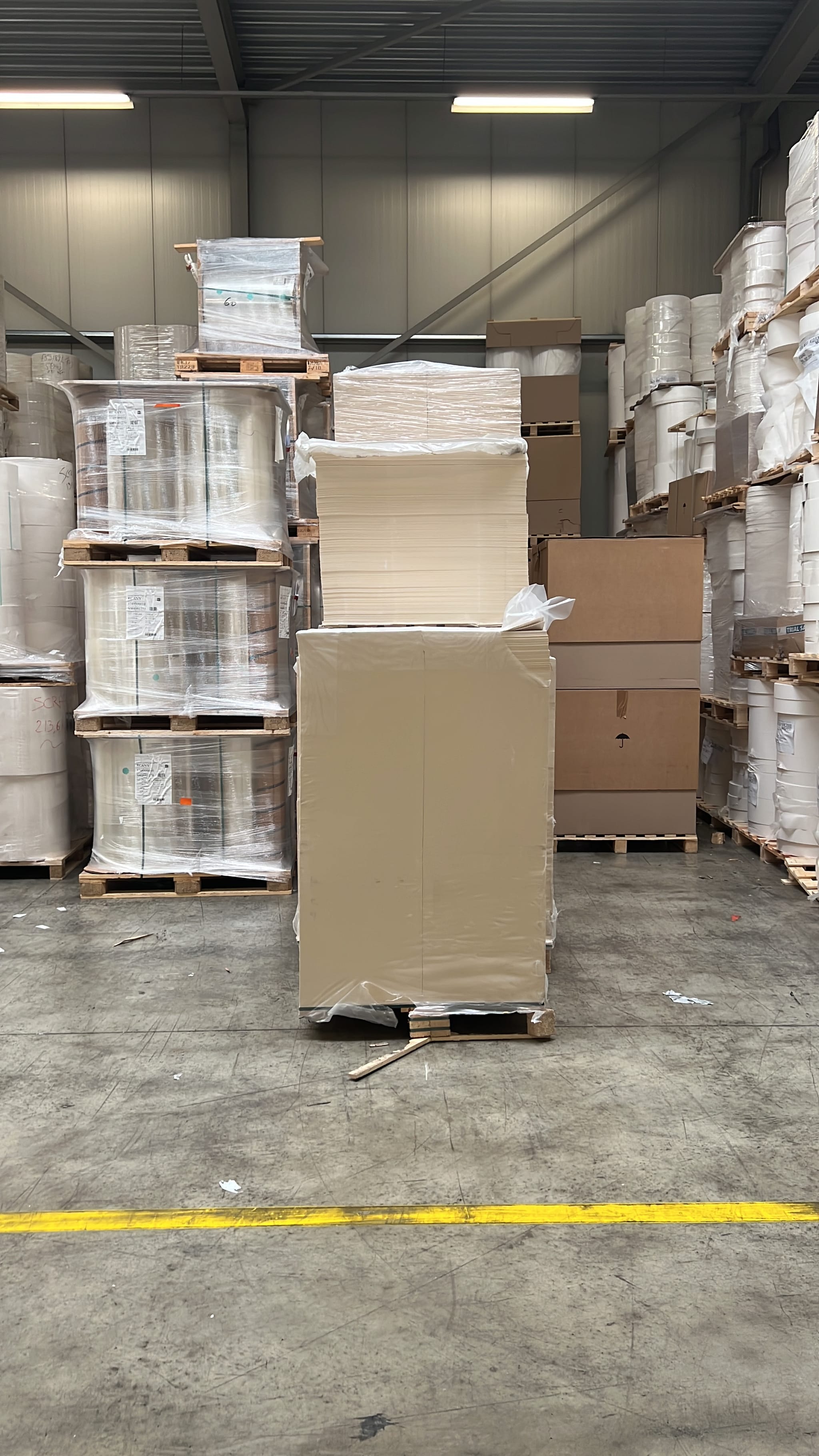 Folding box board - Board