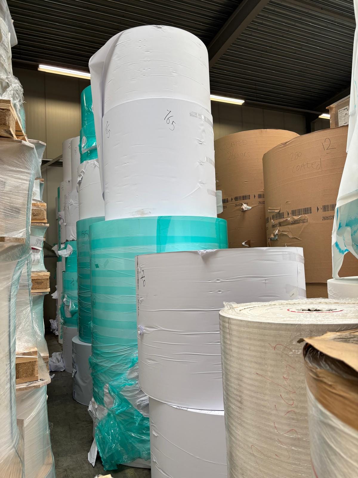 Woodfree Printing Paper - Paper